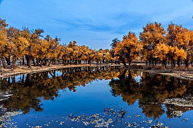 Xbox Ally X IGN上手心得：终于迎来最理想的游戏掌机